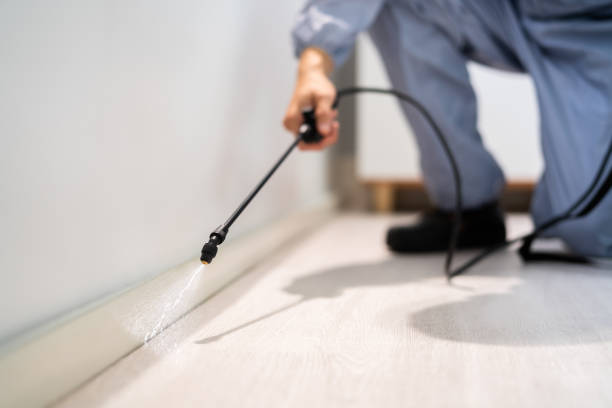 Rodent Entry Point Assessment in Lake Villa
