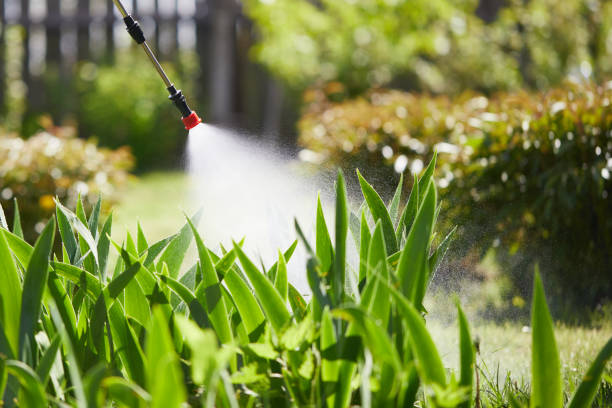 Tamper-Resistant Bait Stations for Rodents in Lake Villa