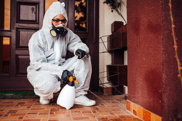 Attic and Crawl Space Rodent Treatment in Lake Villa