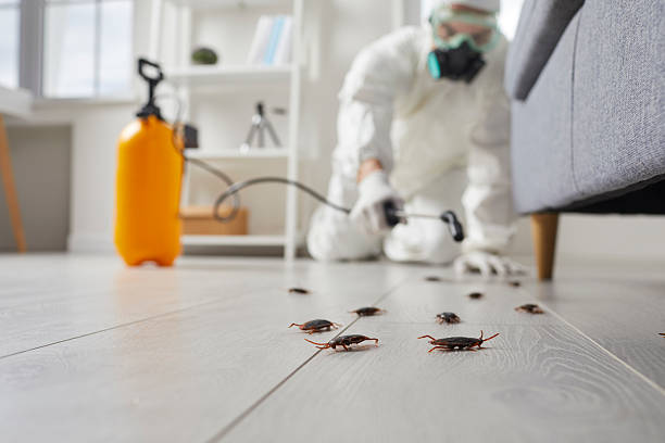 Commercial Rodent Management in Lake Villa